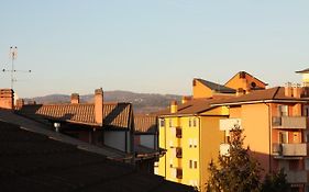 Roof Pellegrini